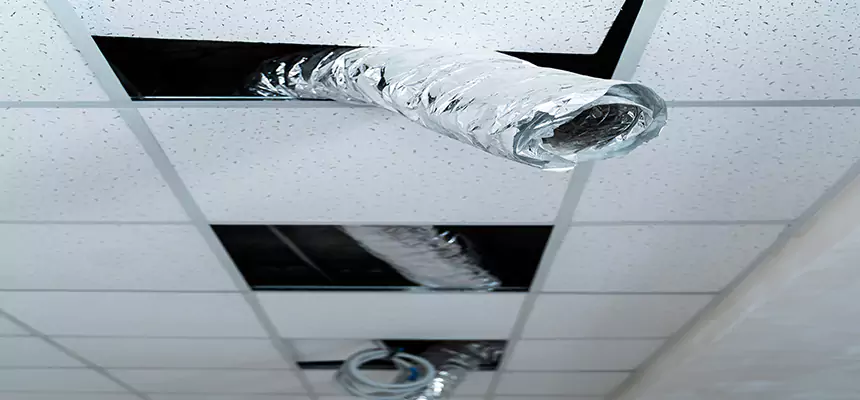 Affordable HVAC Sanitizing After Pest Removal in Galt