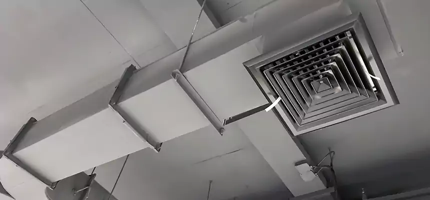 Restorative Allergy Relief Vent Cleaning – Coil, Blower & Housing Detail in Galt