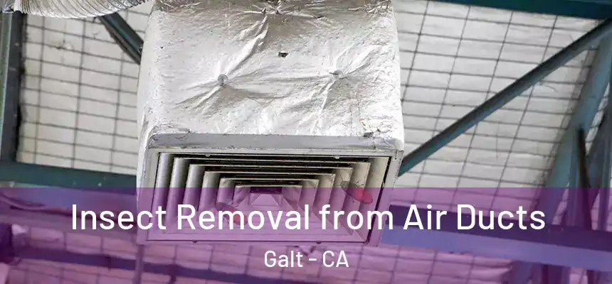 Insect Removal from Air Ducts Galt - CA