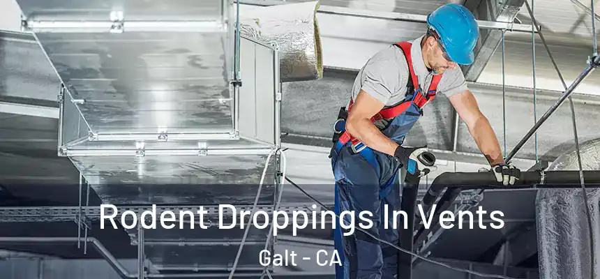 Rodent Droppings In Vents Galt - CA