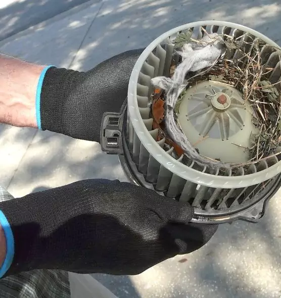 About Air Duct Mice Removal in Galt, CA