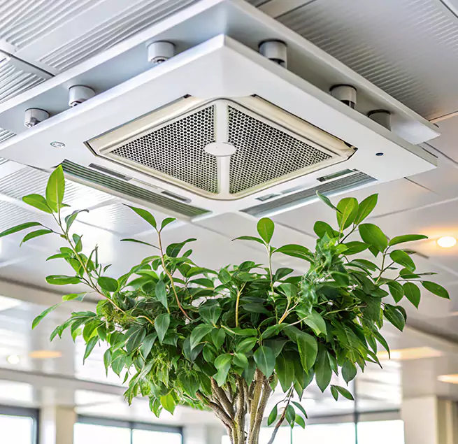 Why Homeowners & Businesses Trust Us in Galt, CA?